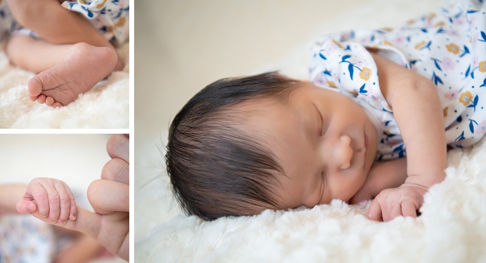 Newborn baby in art print in studio photography session