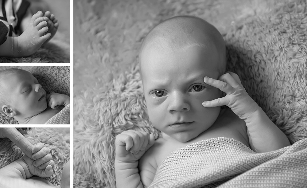 Newborn baby boy in Sydney Eastern Suburbs photography session